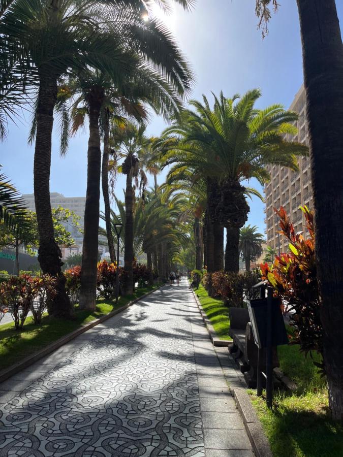 Estudio-Szl Puerto de la Cruz  Bagian luar foto
