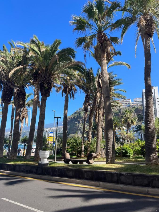 Estudio-Szl Puerto de la Cruz  Bagian luar foto